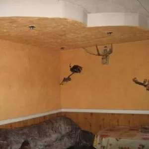 Продам дом в Солдатской Ташле