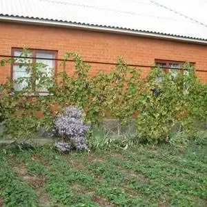 Продам дом.                   