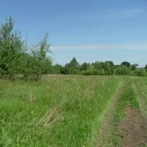 продается участок ПМЖ 15 соток в д. машоново Зарайского р-на