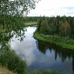 Усадьба в живописном уголке Мордовии с большим садом
