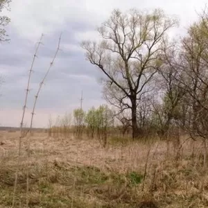 участок 15 соток в с.Хрипковские Выселки ТО,  115 км от Мкад