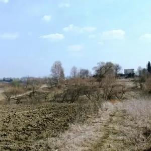Д.Нечаево Участок 17 соток.