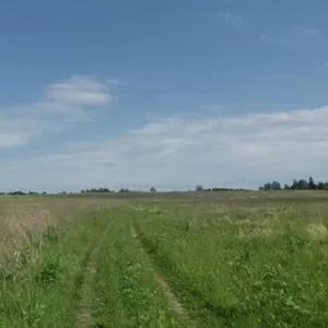 участок по 6.2 ГА в районе деревни Волковичи Тульской обл.