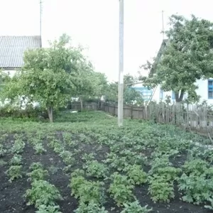 Продается дом в центре Прохоровки!!!