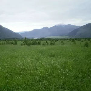 Земля в Горном Алтае.