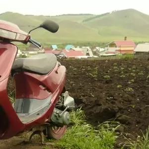 honda dio af-19 в отличном состоянии!!!!