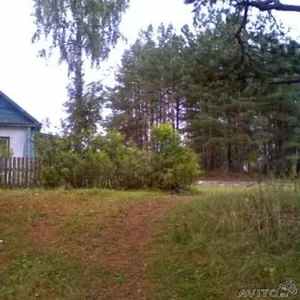 Продаю теплый дом с участком 15 соток.