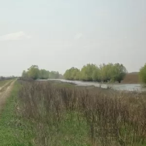 Срочно Продаётся земельный участок 237 га.