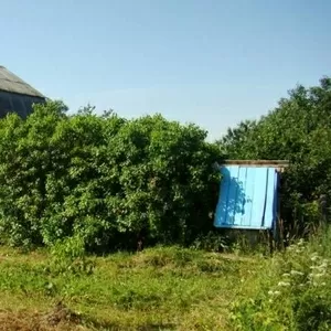 Дом в деревне