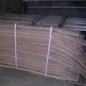 Шпон дуба,  сосны,  ясеня,  берёзы продаю